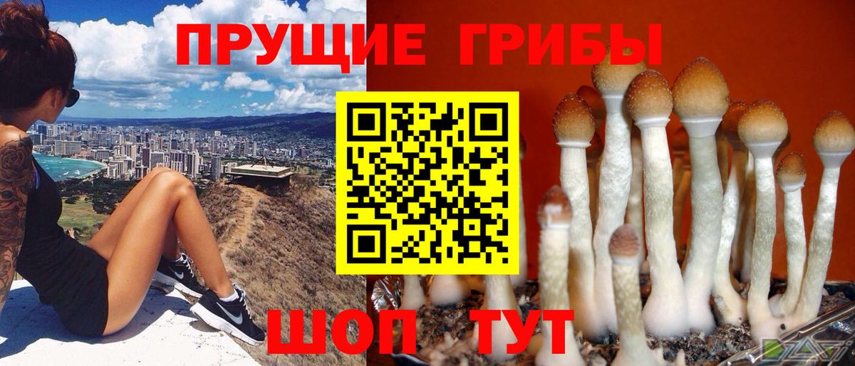 Галлюциногенные грибы Magic Shrooms  Вход с VPN  Курчатов 